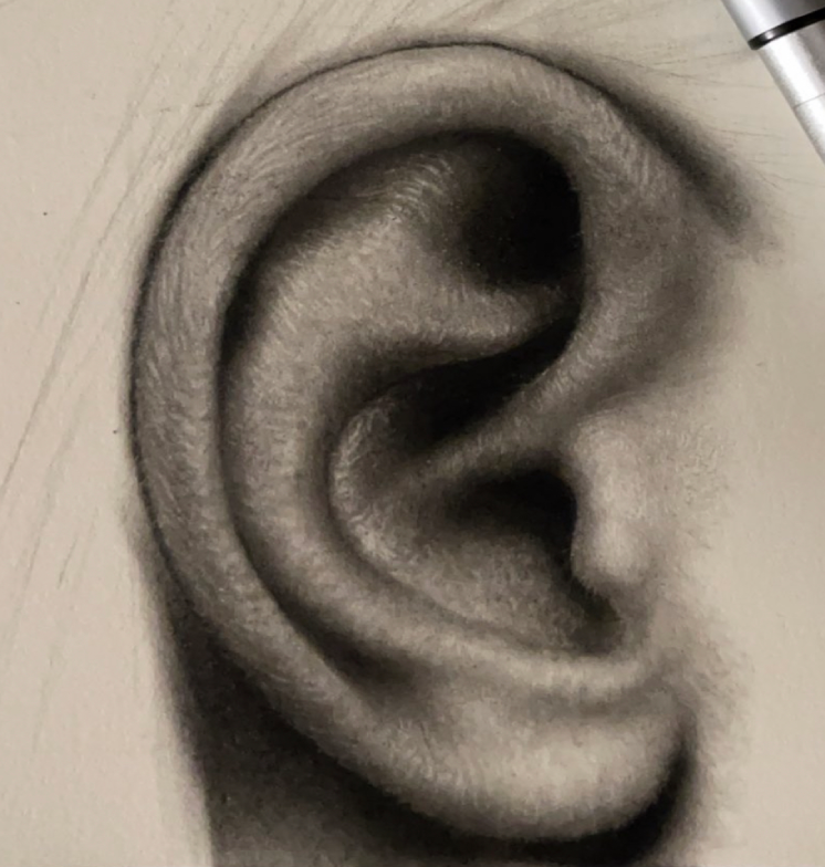 دورة رسم اعضاء البورترية بخامة الرصاص والفحم